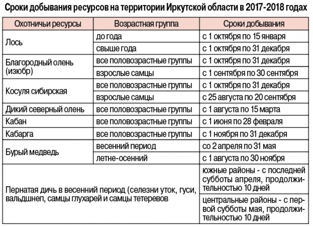 Сроки охоты в тамбовской области 2024. Сроки охоты на медведя в Кировской области 2024.